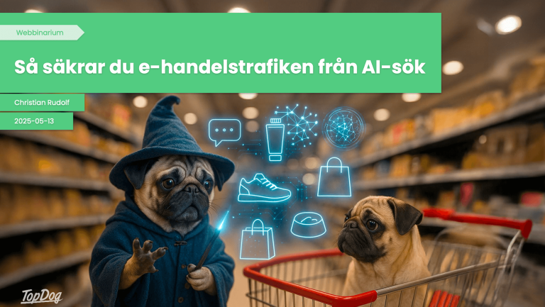 Topdogs webbinarium om SEO för AI-sök
