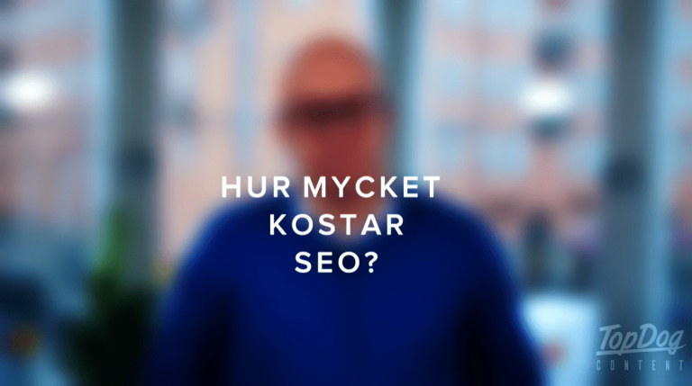 Hur mycket kostar SEO.