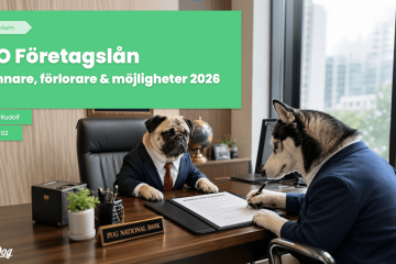 Framsidan till Topdogs presentation: SEO företagslån: vinnare, förlorare och möjligheter 2026.